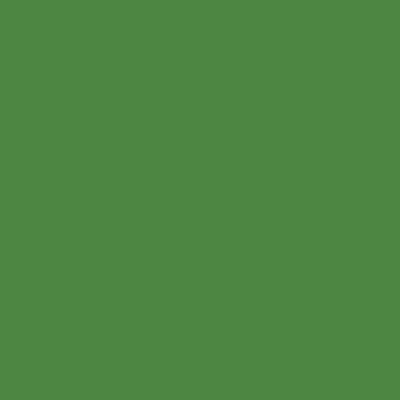 Peinture Volets Bois - Vert mai - RAL 6017 - Bombe 400 ml - Métaltop