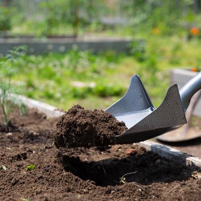 Pelle rebord Root Slayer en acier au carbone