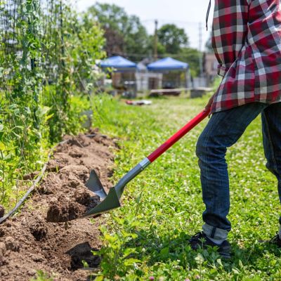 Pelle rebord Root Slayer en acier au carbone