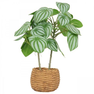 Peperomia artificiel pot effet cannage 40cm