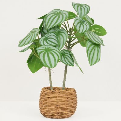 Peperomia artificiel pot effet cannage 40cm