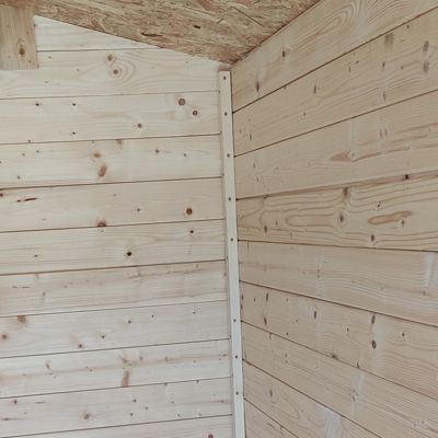 Petit abri de jardin en bois Livia 2.1 cm Alce NATUREL