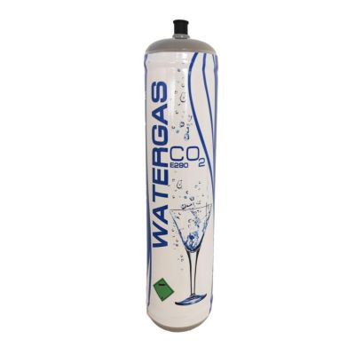 Petite Bouteille De Co2 De Rechange De 600 Grammes Pour Distributeur D'eau Gazeuse