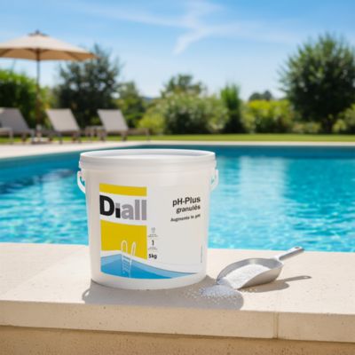 Ph Plus granulés 5kg pour Piscine Diall