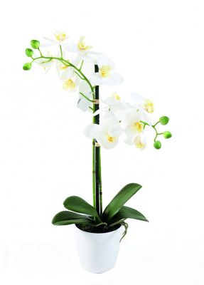 Phalaenopsis artificiel en pot fleurs blanches déco