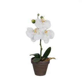 Phalaenopsis blanc artificiel ø12 x h.26 cm en pot Stan gris ø9 cm