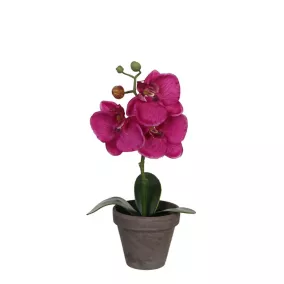 Phalaenopsis violet artificiel ø12 x h.26 cm en pot Stan gris ø9 cm
