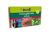 Phéromones contre cossus gâte-bois Biotop (2 capsules)