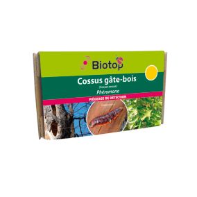 Phéromones contre cossus gâte-bois Biotop (2 capsules)