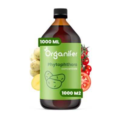 Phytophthora Concentré - 1000 ml pour 1000 m2 - Organifer