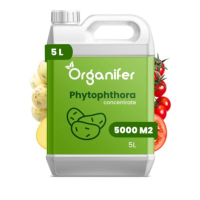 Phytophthora Concentré - 5 l pour 5000 m2 - Organifer