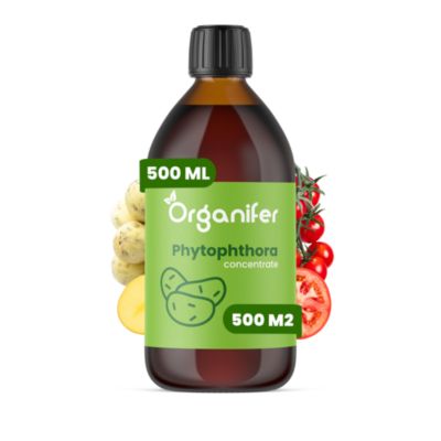 Phytophthora Concentré - 500 ml pour 500 m2 - Organifer