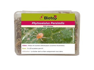 Phytoseiulus Biotop anti-acariens (500 acariens)