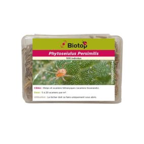 Phytoseiulus Biotop anti-acariens (500 acariens)