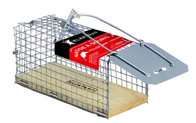 Piège cage à souris 12 cm KLAKTRAP