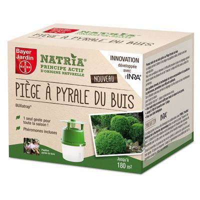 Piege A Pyrale Du Buis Castorama