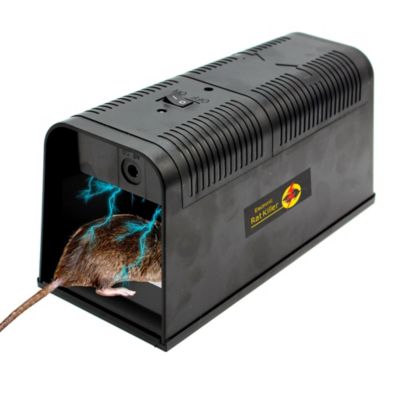 Piège à rongeurs électrique FISHTEC 5000V sans fil anti-rats et souris