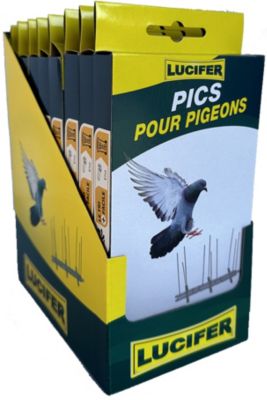 Pic Anti-Pigeons - Inox - 1mx2,5cmx11cm - 06072 pas cher 