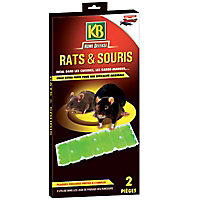 Piège à glu pour rats et souris