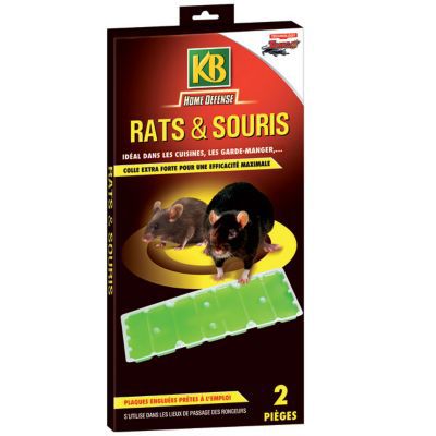 Piège collant anti rats et souris lot de 2 tablettes aromatisées à