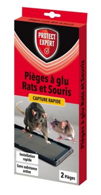 Piege A Souris Castorama