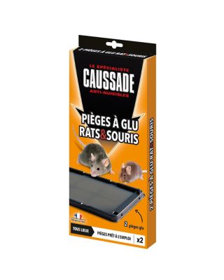 Comment fabriquer facilement piège à rat avec tube pvc