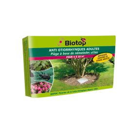 Piège à otiorrhynque adulte Biotop 4 à 10 m²