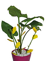 Piège englué floral pour plantes d'intérieures Biotop (6 tiges et 12 plaques)