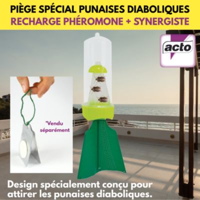 Piège spécial punaises diaboliques Acto