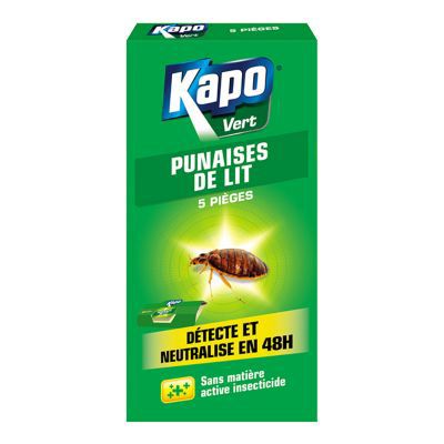 Lot 30 Pièges à Cafards Asfrode - Pièges Collants Anti Punaises Fourmis Insectes Non Toxiques