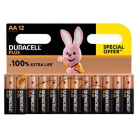 Pile alcaline AA (LR6) Duracell Plus, lot de 12