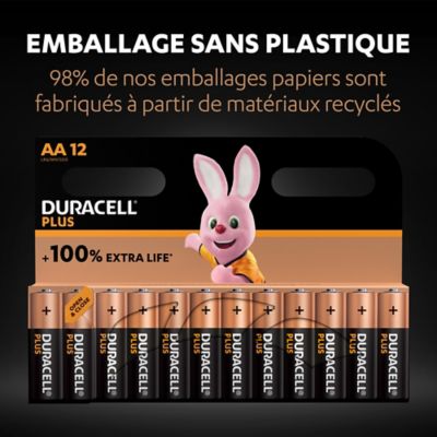 Pile alcaline AA (LR6) Duracell Plus non rechargeable, lot de 12