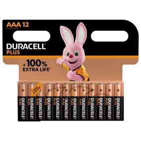 Pile alcaline AAA (LR03) Duracell Plus, lot de 12