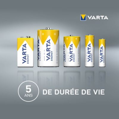 VARTA Piles Micro AAA / AM-4 / LR 03, 1,5V, pack de 24 - SECOMP France