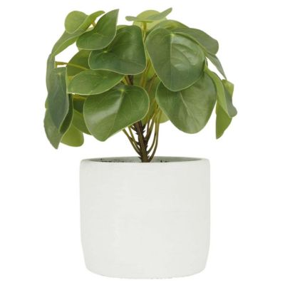 Pilea artificielle pot effet ciment 23 cm