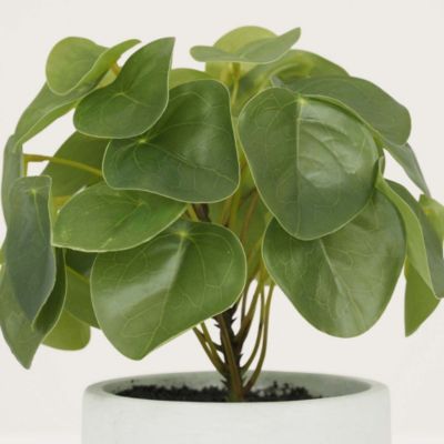 Pilea artificielle pot effet ciment 23 cm