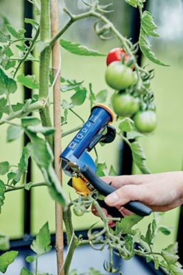Pince de jardin à tuteurer Rapid GP238