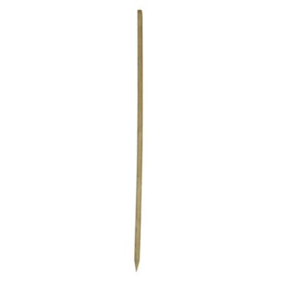 Piquet en bois carré Blooma en pin L.25 x l.25 mm x H.150 cm