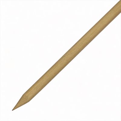 Piquet en bois carré Blooma en pin L.25 x l.25 mm x H.150 cm