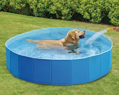 Piscine pliable Intex pour chiens