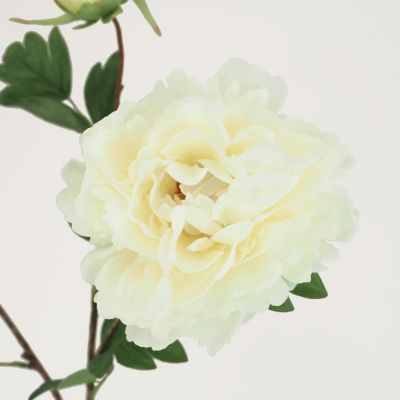 Pivoine artificielle en tige blanche 70cm lot de 4