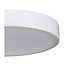 Plafonnier de salle de bain LED intégrée blanc 1200lm 12W IP44 Ø28,3cm blanc froid & blanc chaud GoodHome