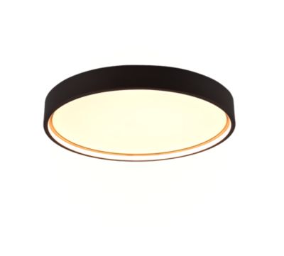 Plafonnier LED 29W 3260 lm 2300+3000+4000K noir mat - Trio - Doha