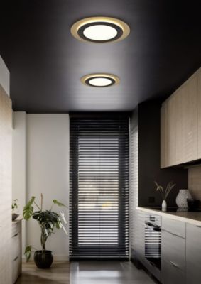 Plafonnier LED 42W 2700-6500K 5600lm noir et or télécommande - Trio - Morgan
