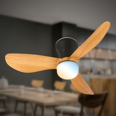 Plafonnier ventilateur LED CCT - Noir/Bois - 15W 2050lm - Ventilateur 18W - D.780x260mm - Briloner