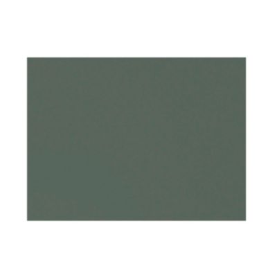 Plan de toilette vert mat L.60,4 x l.45,2 x ép.2,8 cm, GoodHome Perma