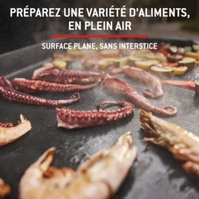 Plancha gaz premium slate 43 cm Weber