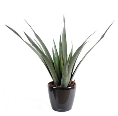 Plante aloe Ferox artificielle en pot