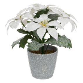 Plante artificiel Poinsettia Etoile de Noël Blanc pailleté en pot  H 22 cm