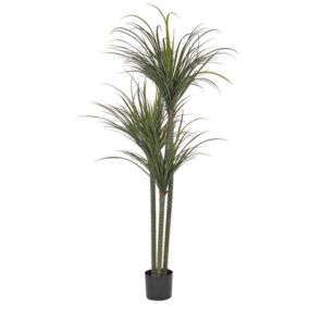 Plante artificielle 198 cm DRACAENA ANITA